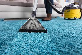 Carpet Cleaning Oakville: What A Mistake!