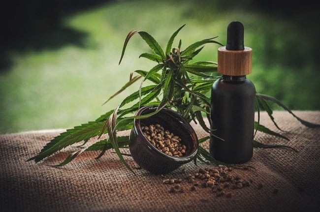 Harnessing CBD Oil A Modern Solution for Stress and Wellness