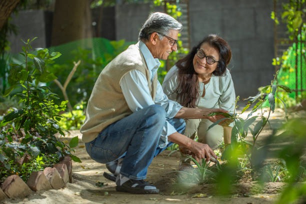 Understanding the Curious Case of Fungus in Mulch